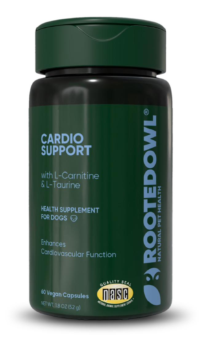 Cardio Support