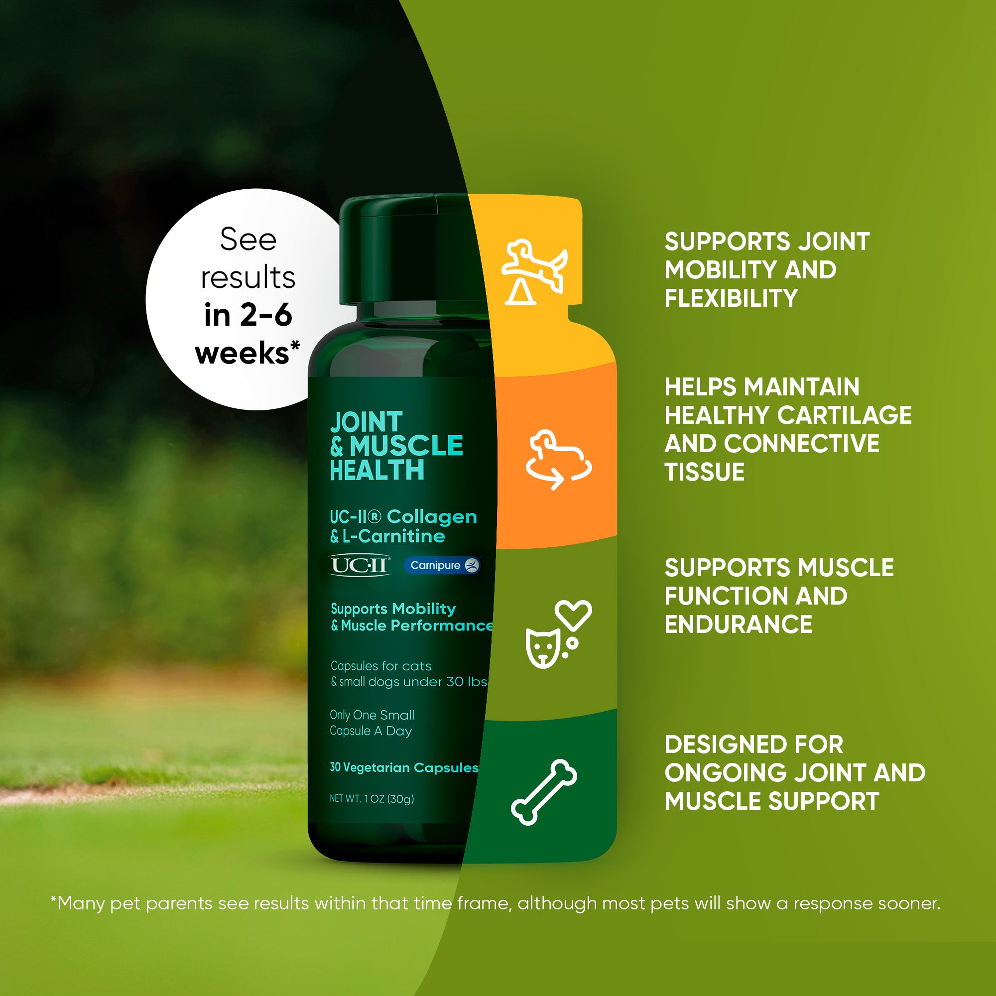 A monstera leaf in a clear glass vase against a white background.