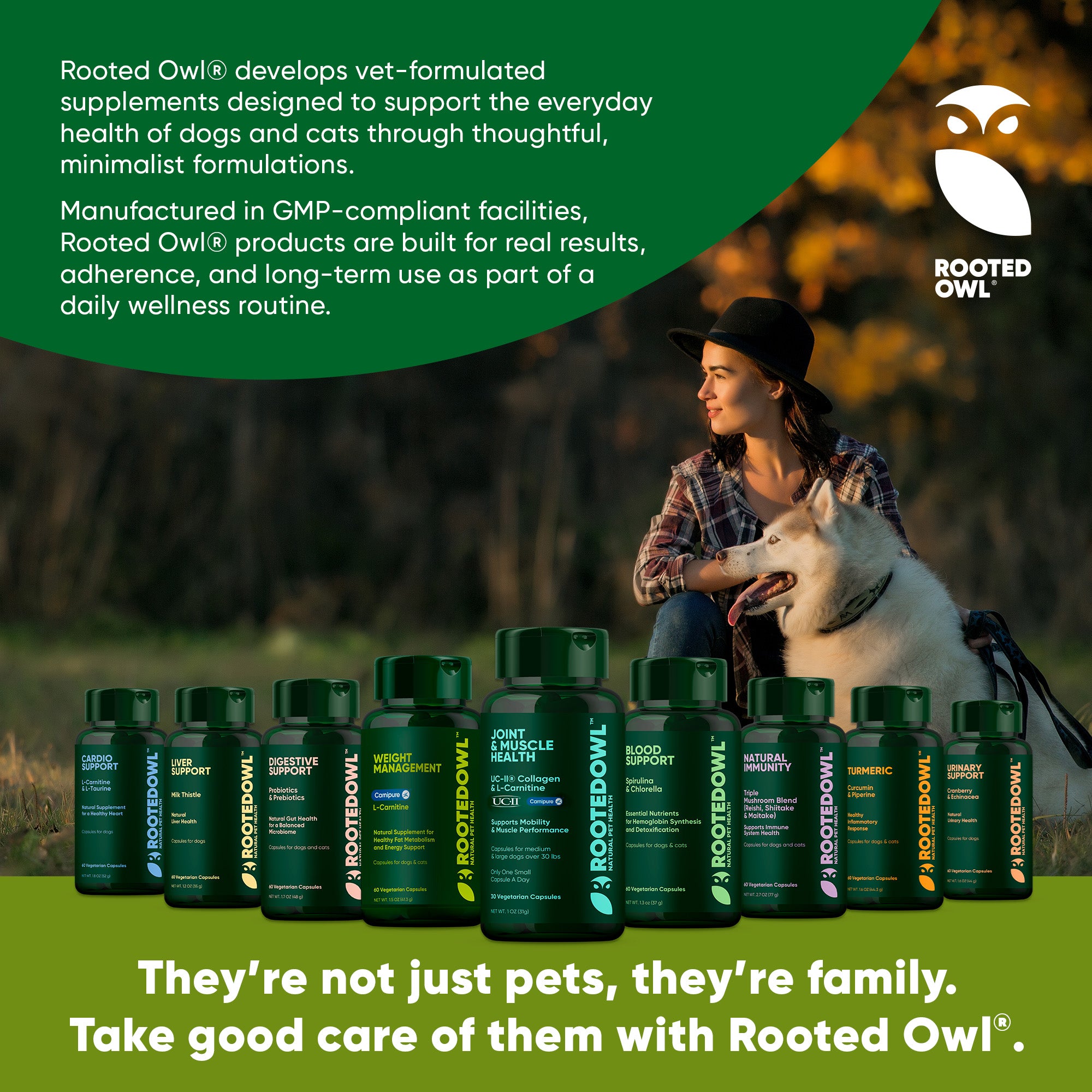 Green palm leaves against a white background.