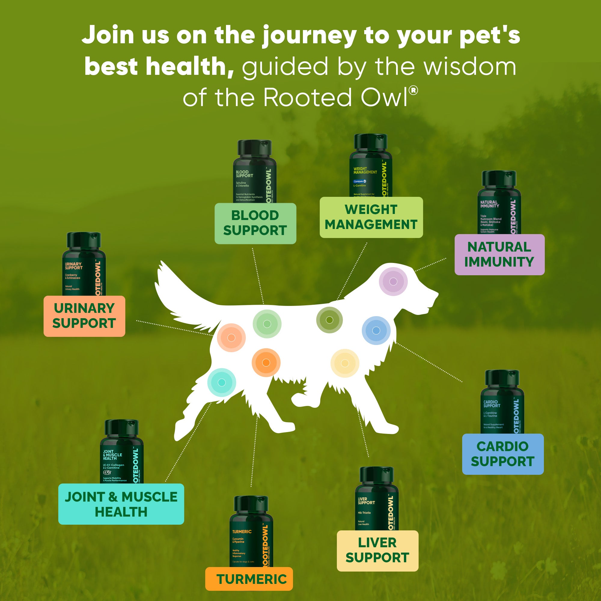 Hand holding an open magazine with a black and white architectural photo.