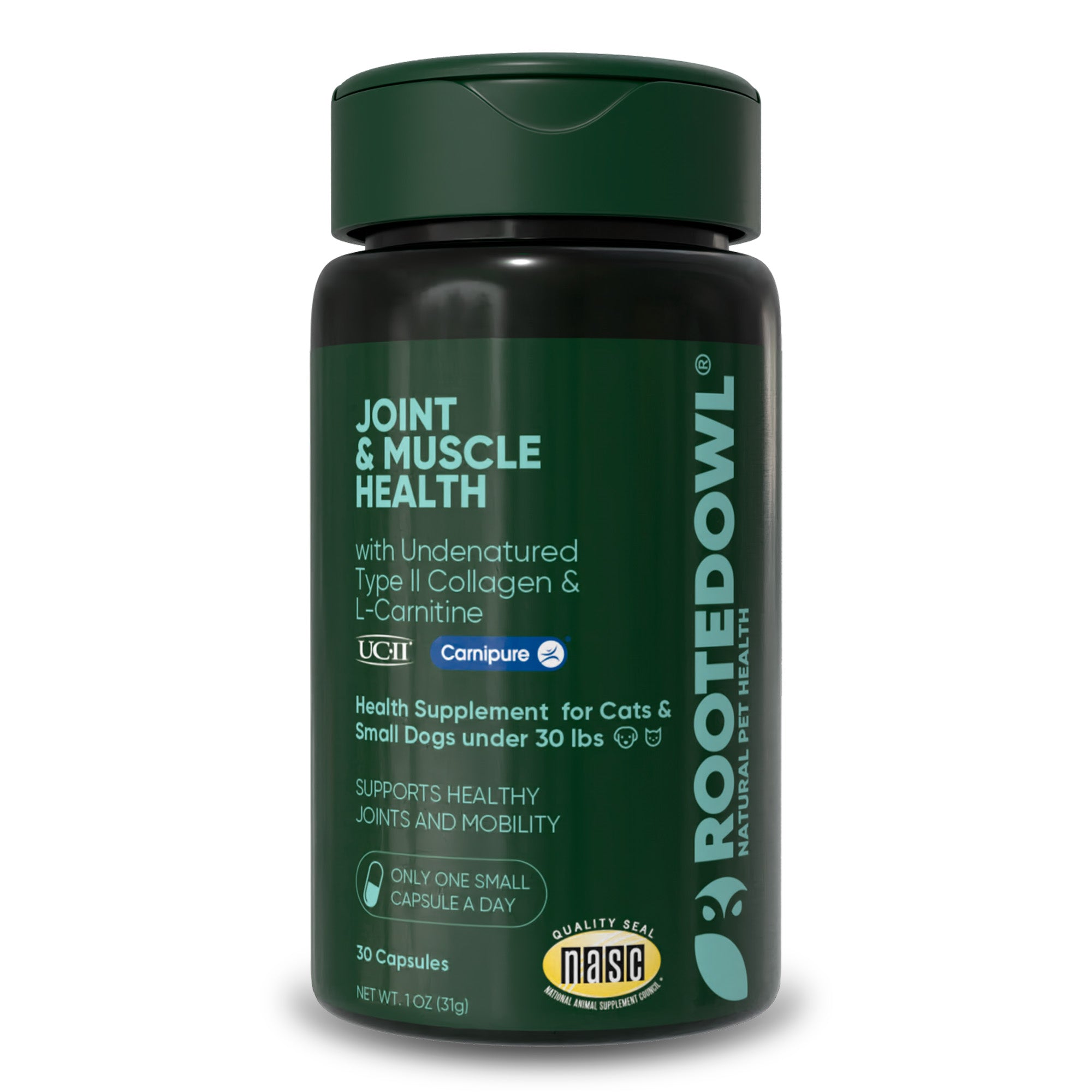 organic l carnitine L-Carnitine, 500 mg Veggie Capsules organic l carnitine L-Carnitine, 500 mg Veggie Capsules