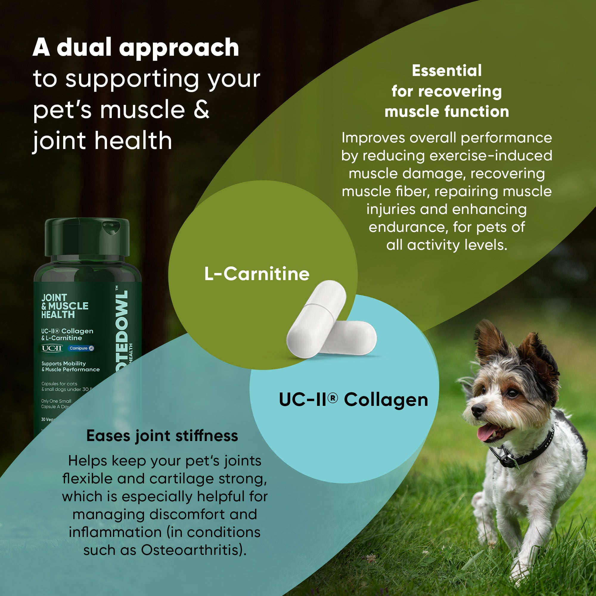 Green palm leaf beside two blank white cards on a white background.