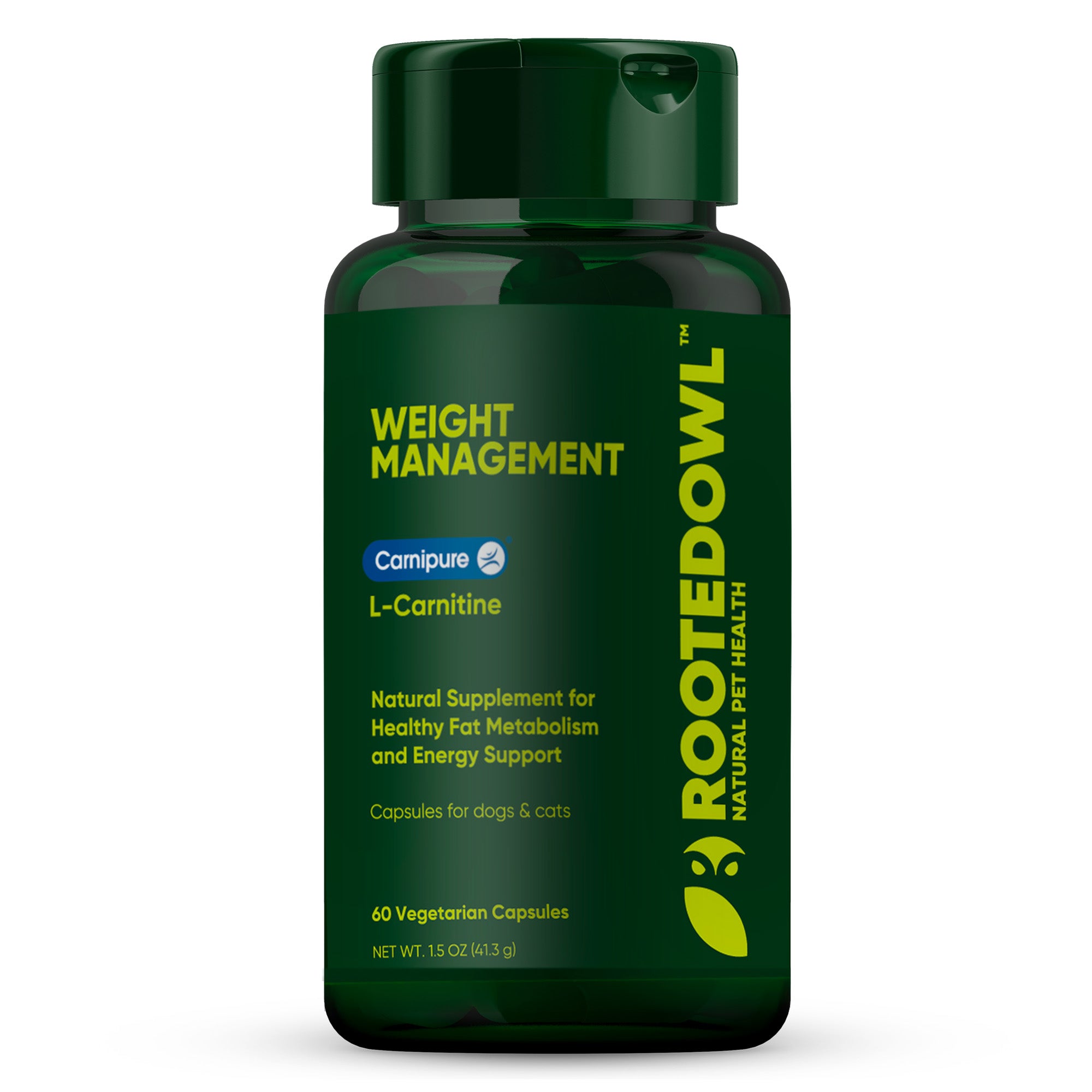 A single green leaf against a white background.