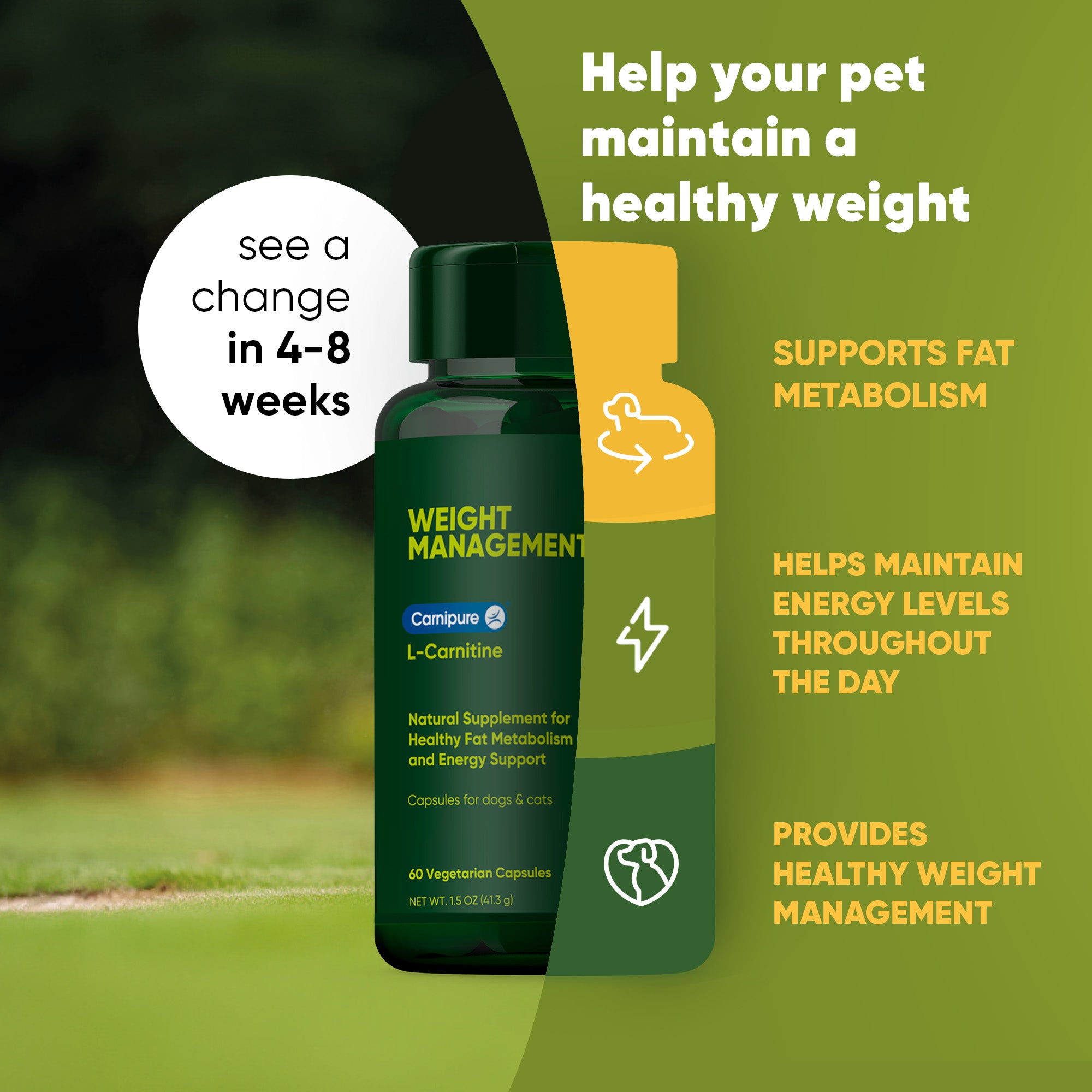 A monstera leaf in a clear glass vase against a white background.