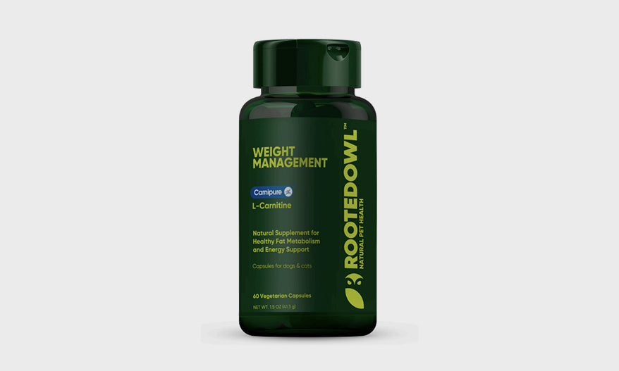 Rooted Owl Launches Weight Management Supplement for Pets