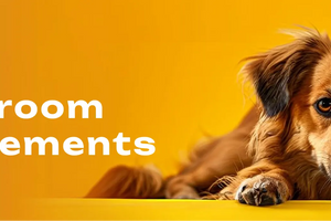 Dog Mushroom Supplements