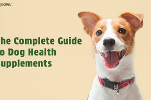 The Complete Guide to Dog Health Supplements