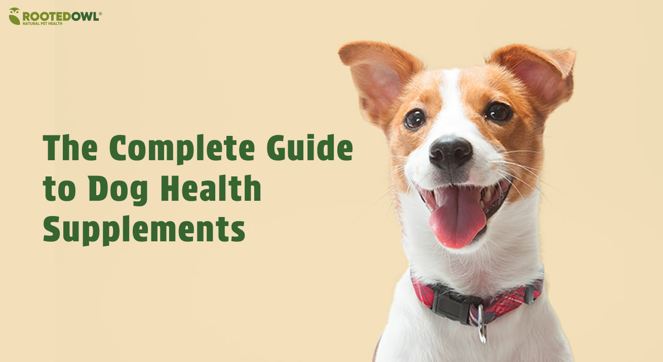 The Complete Guide to Dog Health Supplements