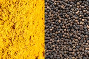 Turmeric for Dogs: Curcumin + Piperine — The Complete Guide to Anti-Inflammatory Support