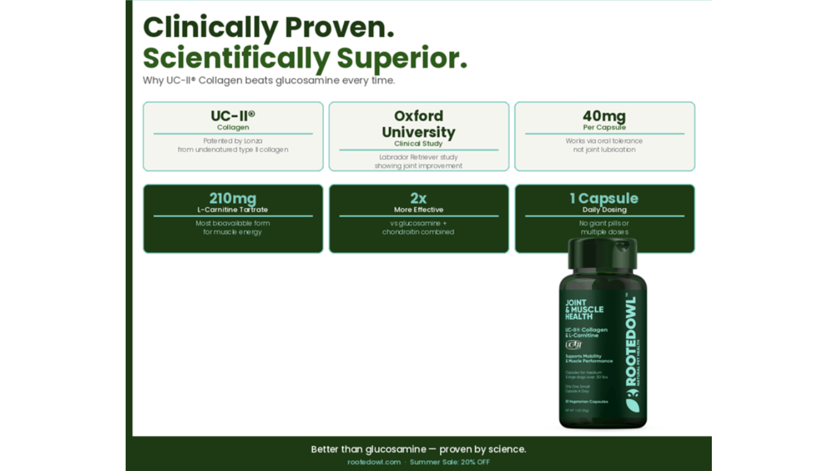 UC-II® vs Glucosamine for Dogs: Why the Category Is Overdue for a Reset
