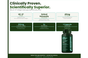 UC-II® vs Glucosamine for Dogs: Why the Category Is Overdue for a Reset