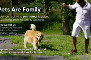 Behind Rooted Owl®: The Science-Led Pet Wellness Company Built on First Principles