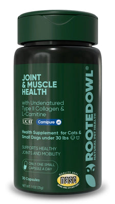 Joint & Muscle Health