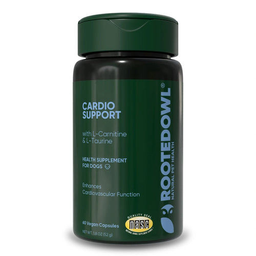 Cardio Support