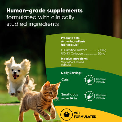 l-carnitine supplements for cats Joint & Muscle Health – Rooted Owl Pet Supplements