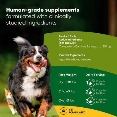 Weight Loss Supplement for Dogs and Cats | Rooted Owl Rooted Owl Pet Supplements Weight Loss Supplement for Dogs and Cats | Rooted Owl Rooted Owl Pet Supplements