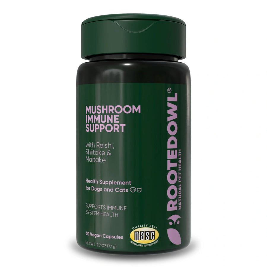 Mushroom Immune Support