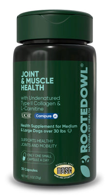 Joint & Muscle Health