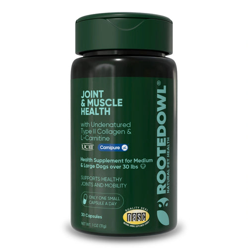 Joint & Muscle Health