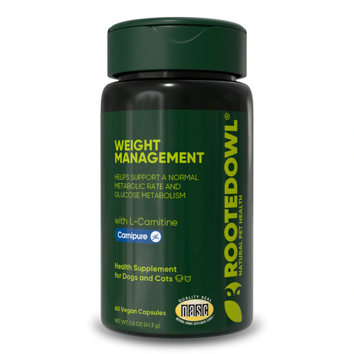 Weight Management