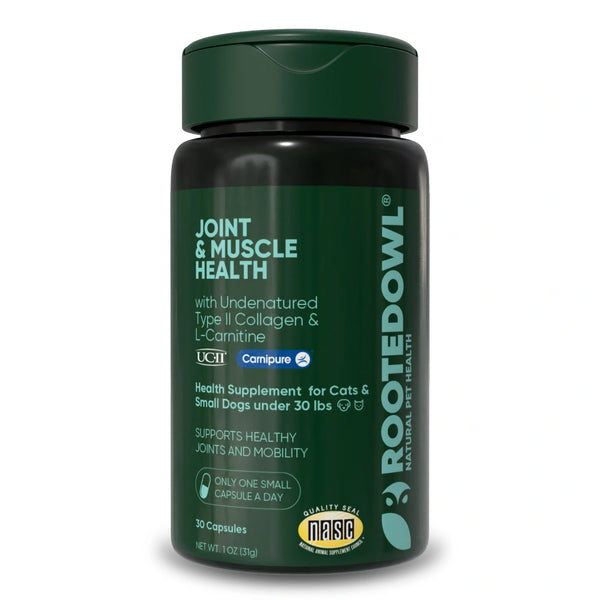 l carnitine supplement for cats Joint & Muscle Health
