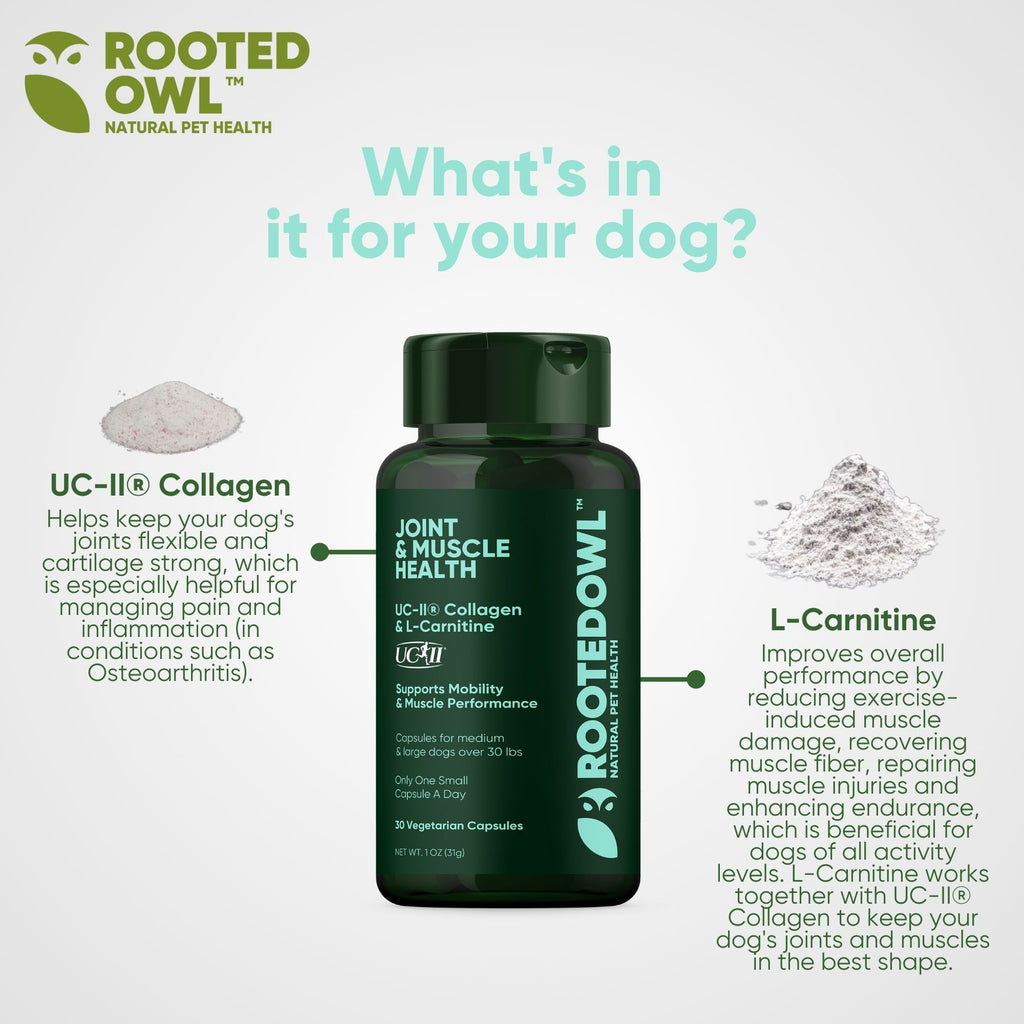 Picture of Joint & Muscle Health (Medium & Large Dogs) – Rooted Owl Pet Supplements