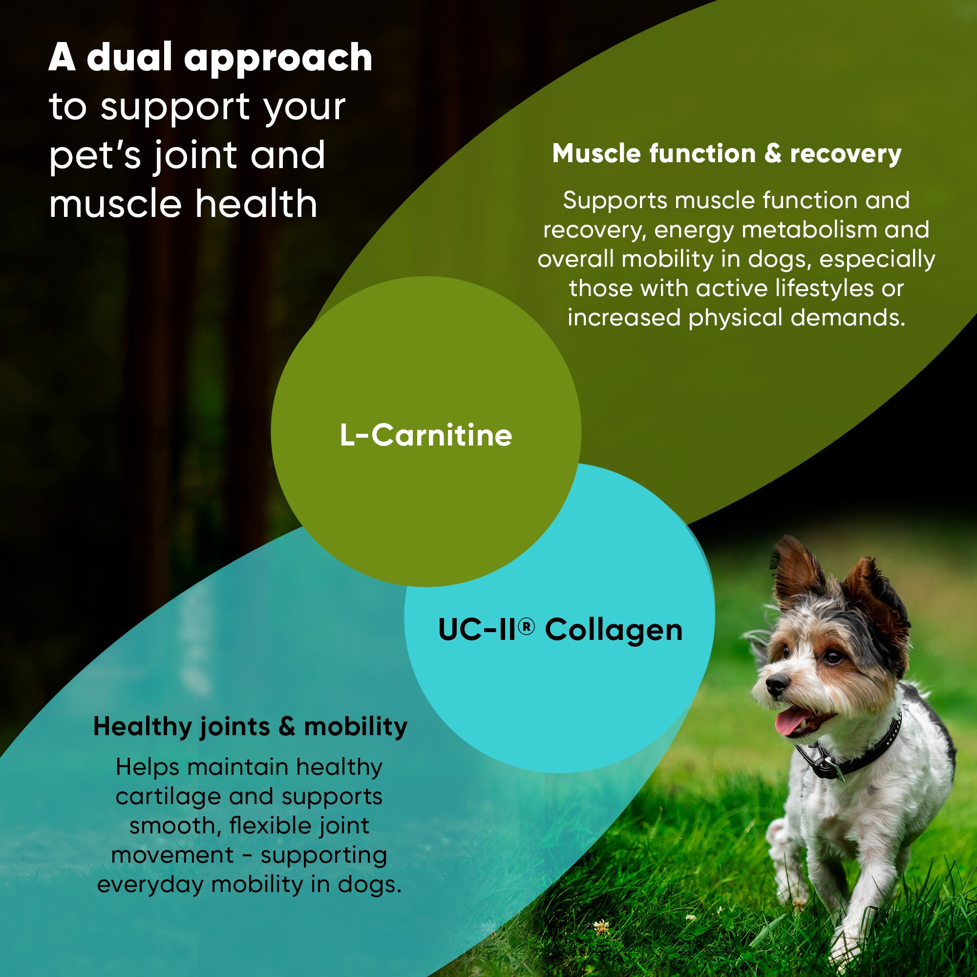 Green palm leaf beside two blank white cards on a white background.