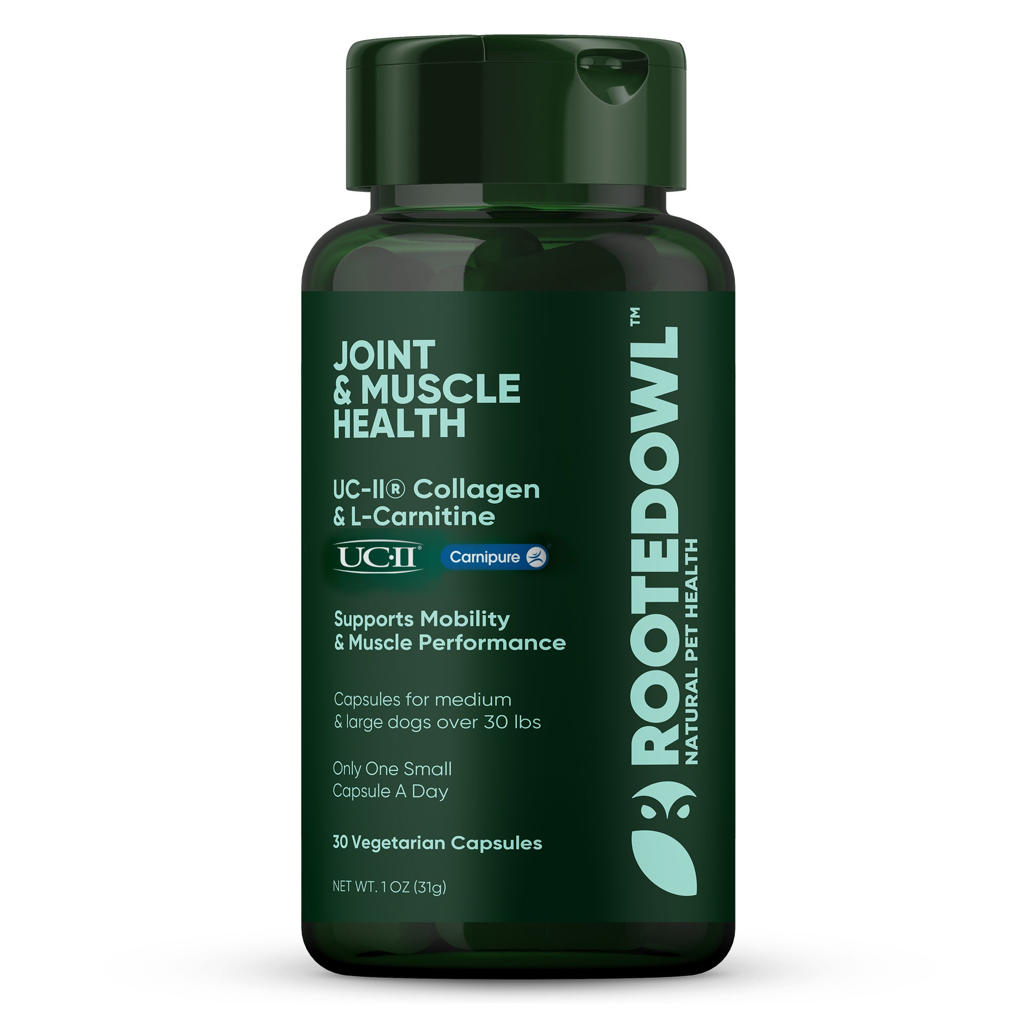 A single green leaf against a white background.