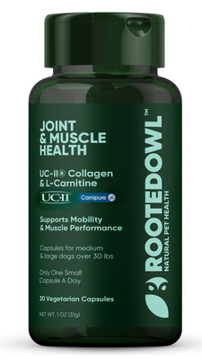 Joint & Muscle Health (Medium & Large Dogs)