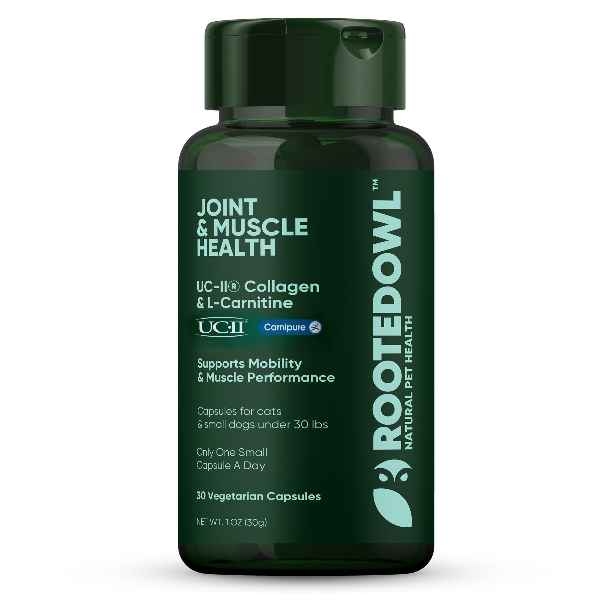 A single green leaf against a white background.