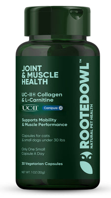 Joint & Muscle Health (Medium & Large Dogs)