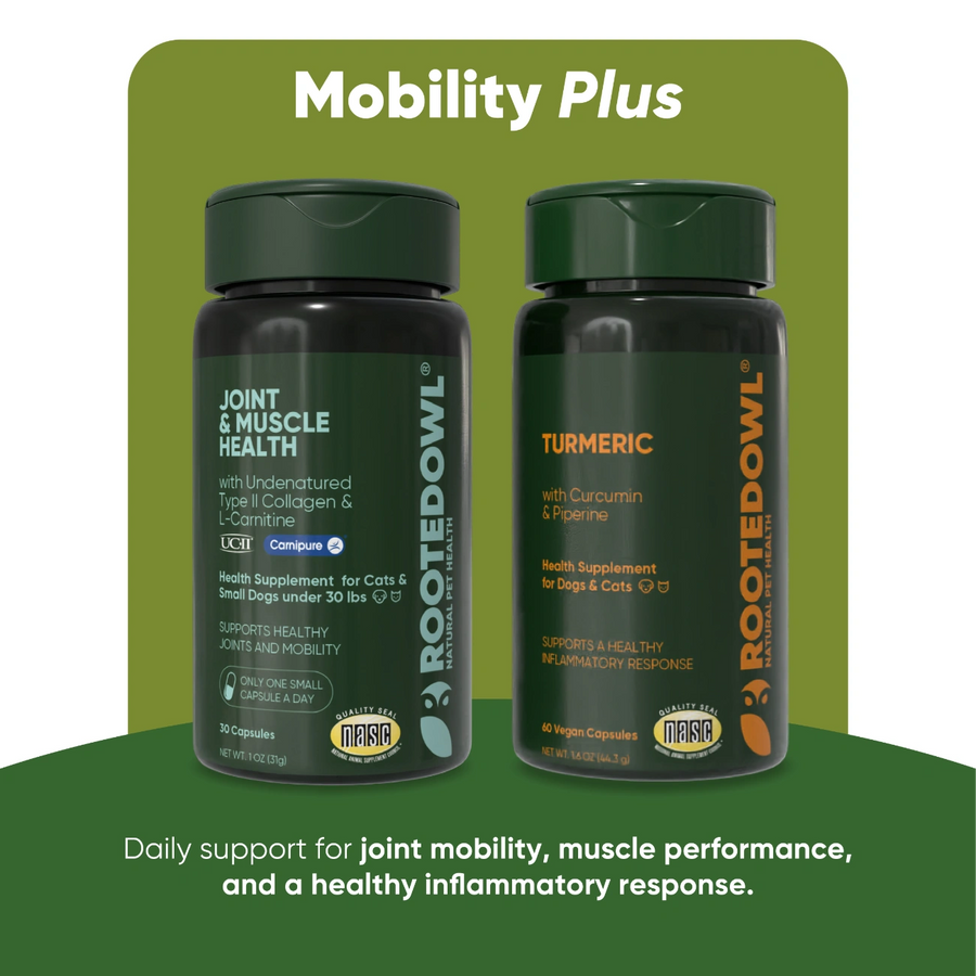 Mobility Plus Bundle