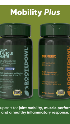 Mobility Plus Bundle