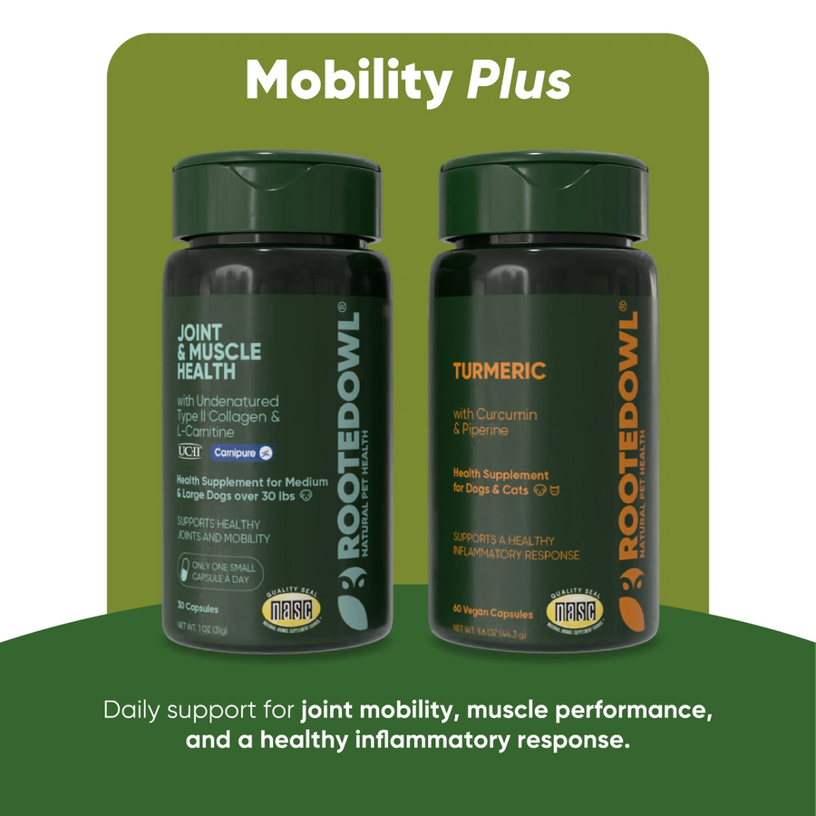 Mobility Plus Bundle