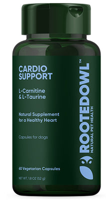 Cardio Support