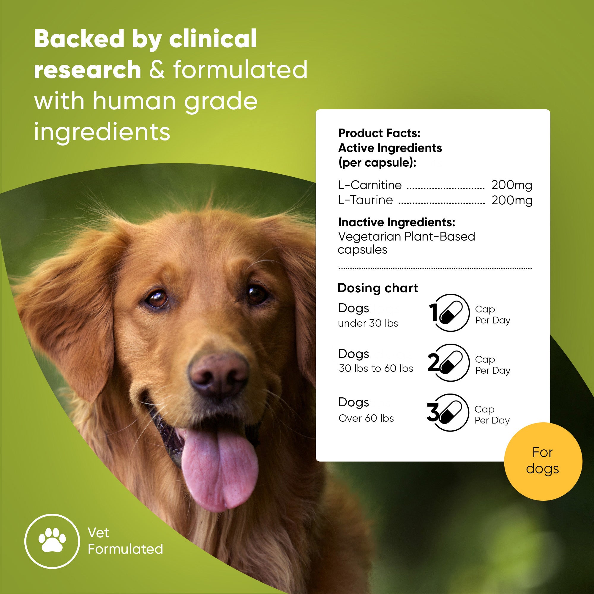 Cardio Support – Rooted Owl Pet Supplements