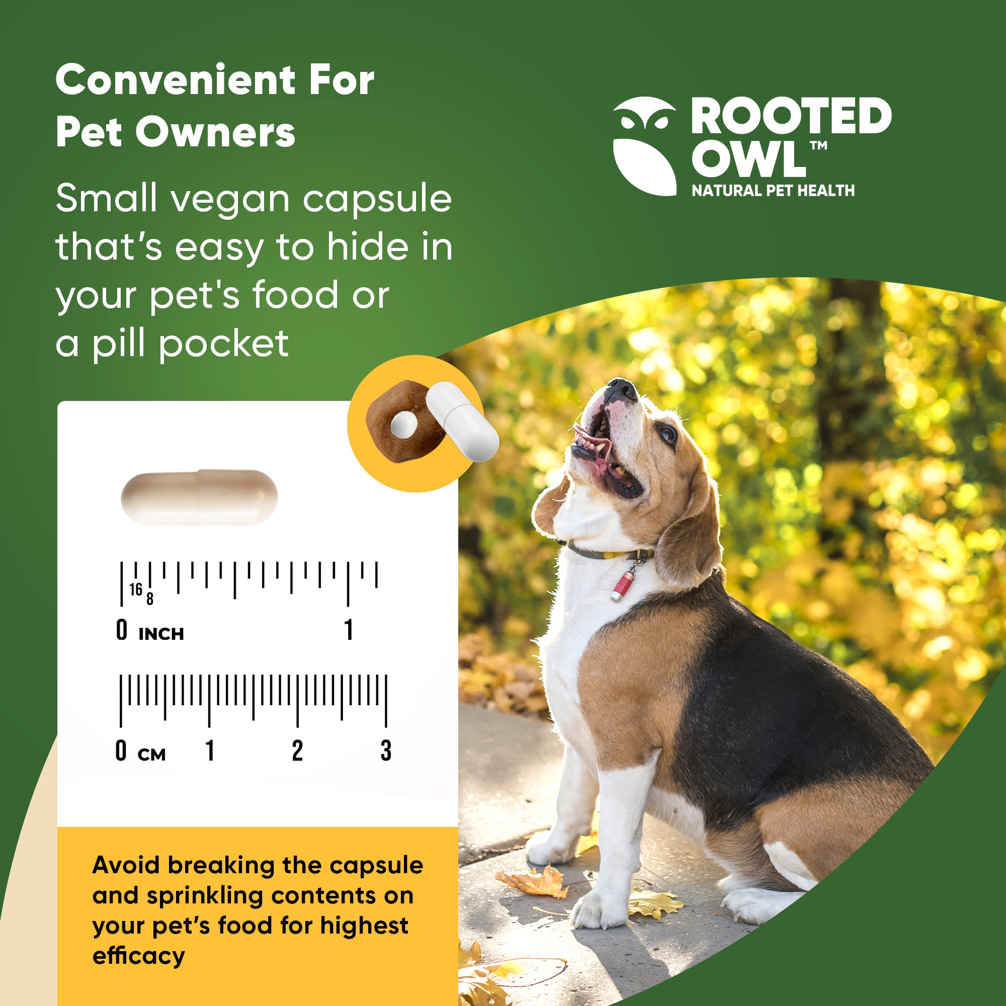 Natural Immunity – Rooted Owl Pet Supplements