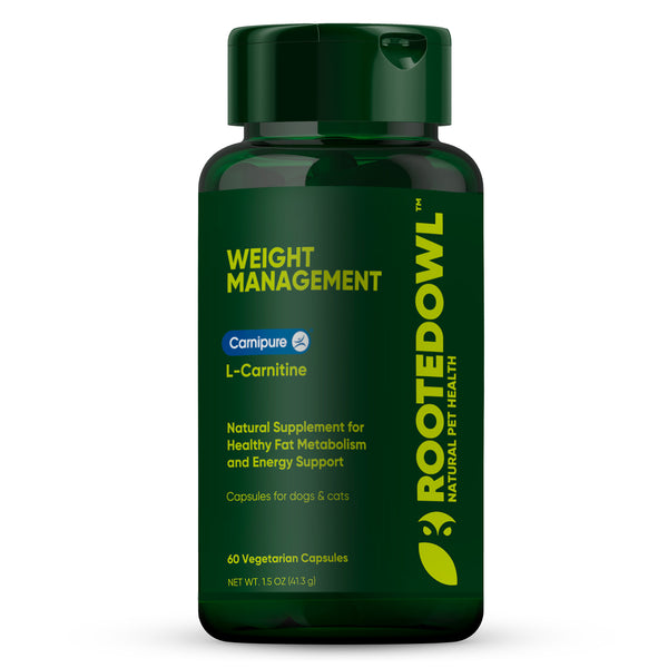 Weight Loss Supplement for Dogs and Cats | Rooted Owl Rooted Owl Pet Supplements Weight Loss Supplement for Dogs and Cats | Rooted Owl Rooted Owl Pet Supplements