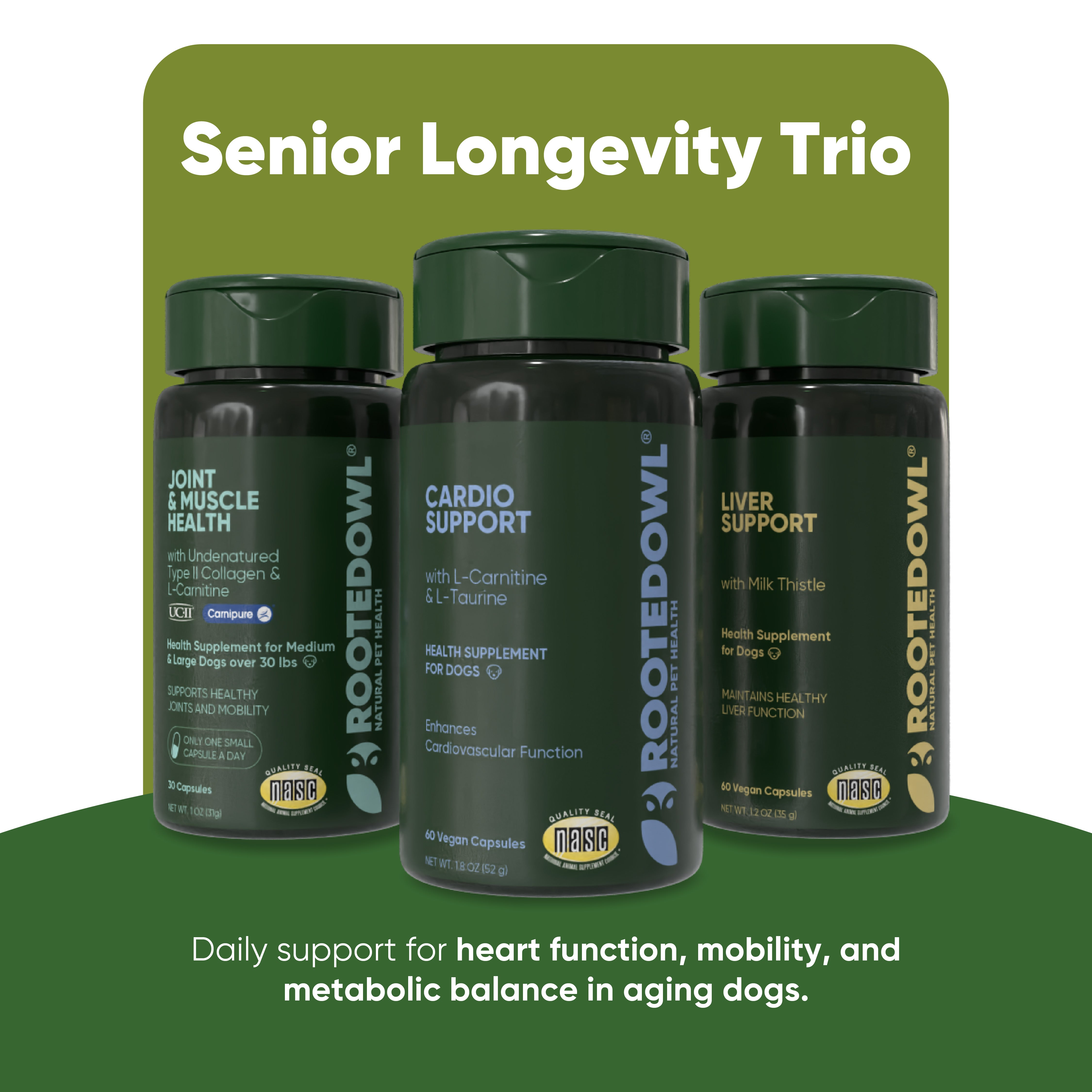 Senior Longevity Trio — Medium & Large Dogs