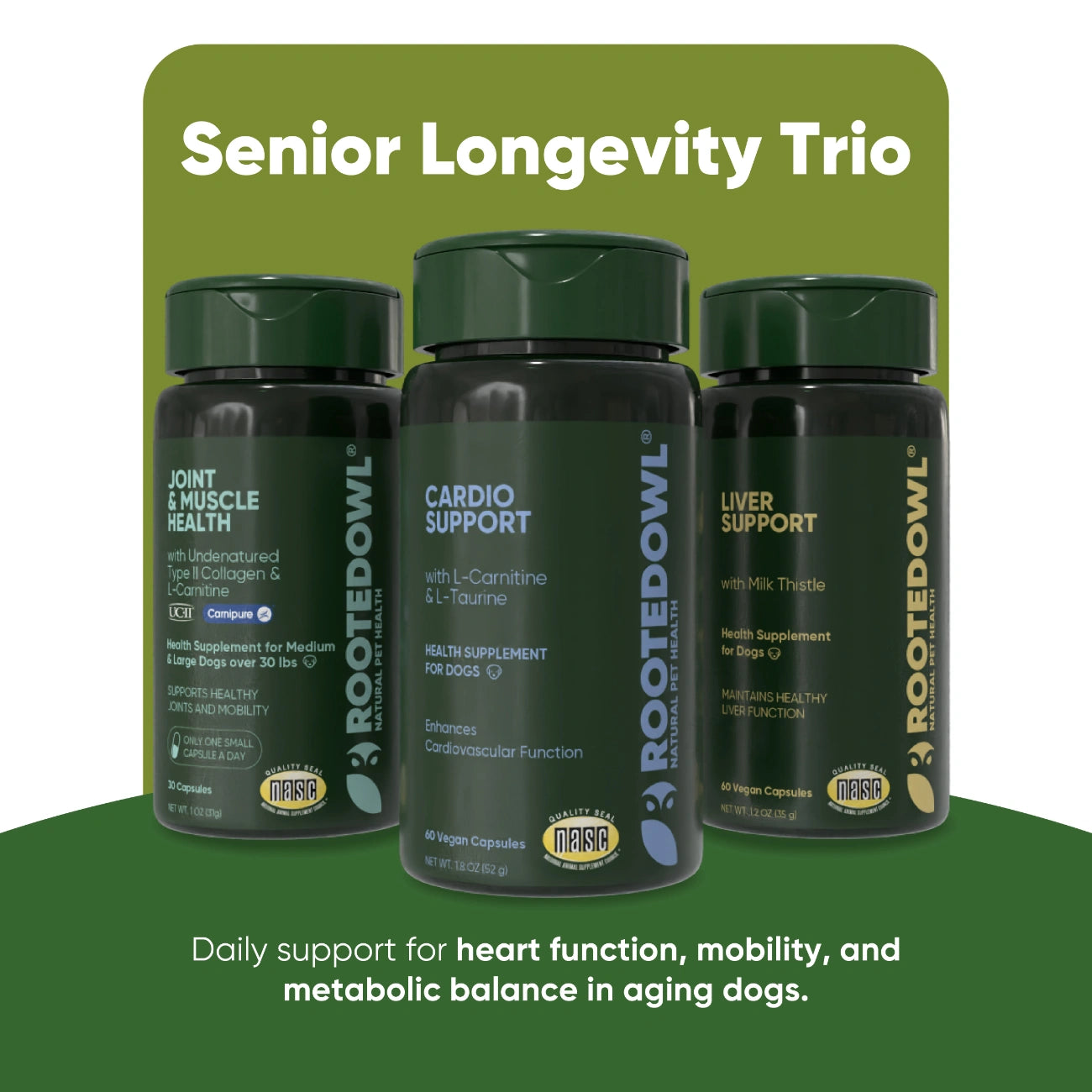 Senior Longevity Trio