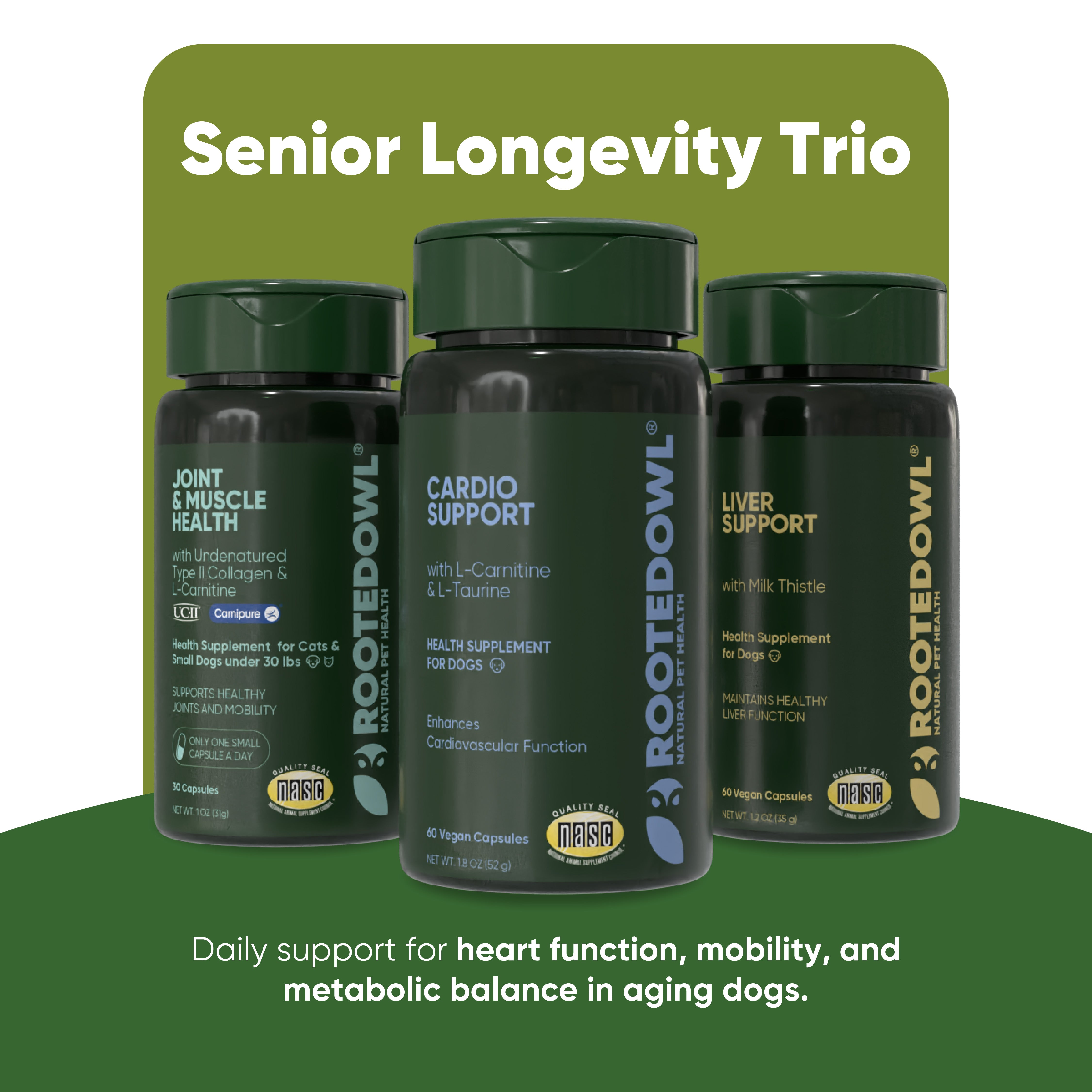 Senior Longevity Trio — Small Dogs